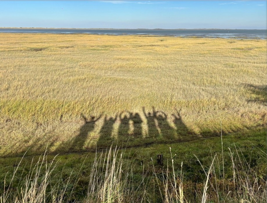 Six people’s shadows on grass with their arms up on a sunny day, overlooking a wide field and distant water.