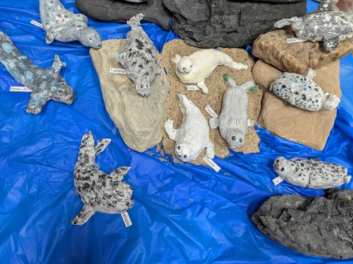 Seal models
