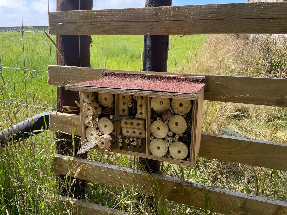Bee home on a fence