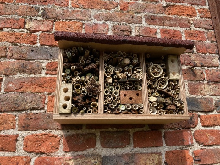 Bee home on a wall