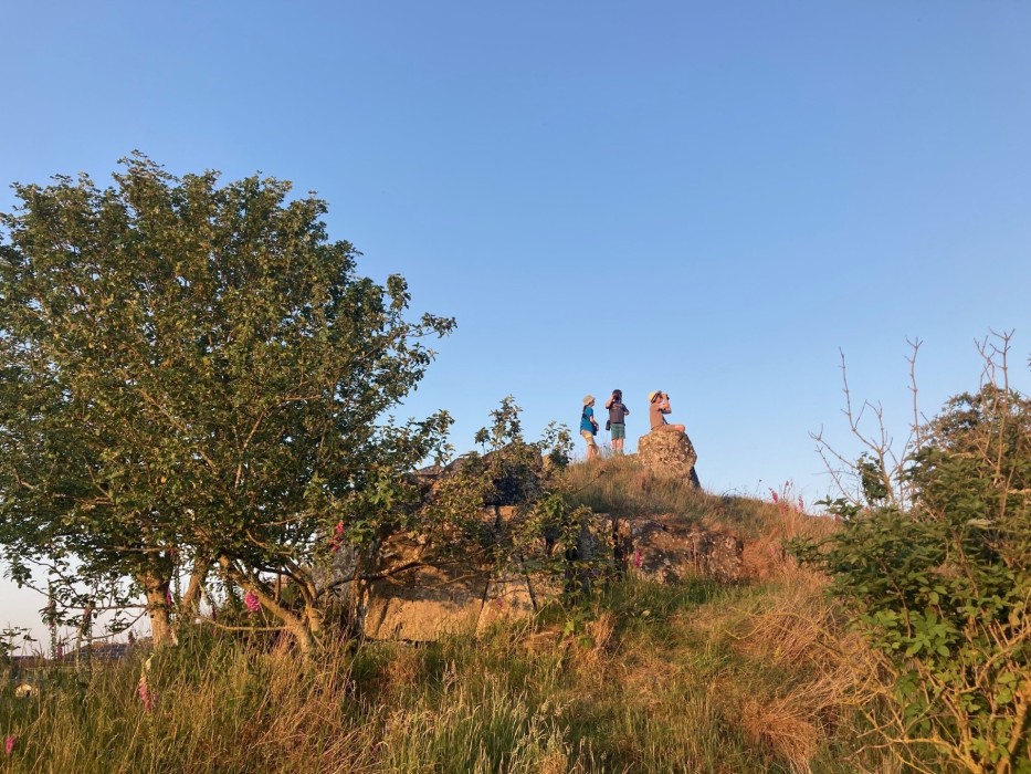 People looking at wildlife on a hill