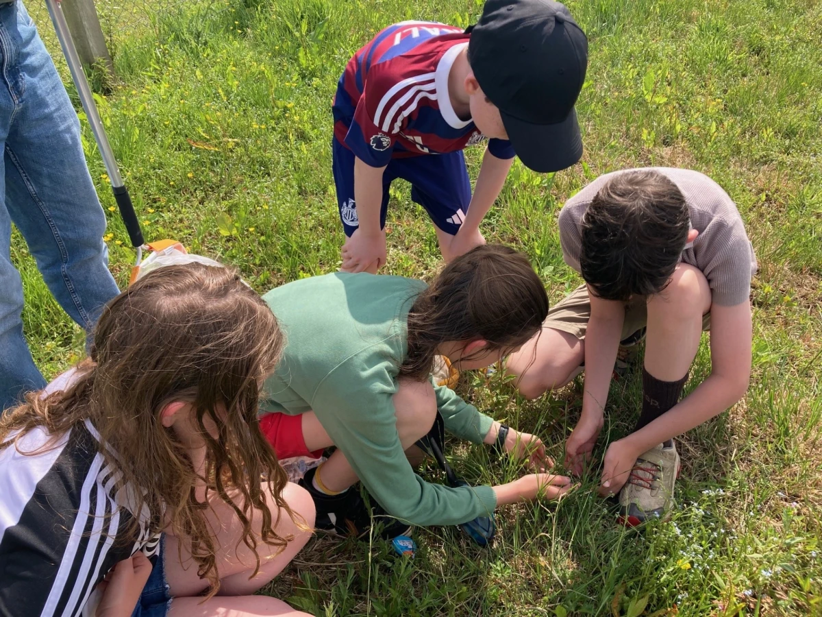 Children looking at wildlife
