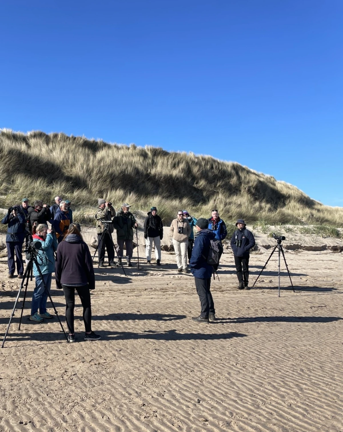 People on the beach looking for birds
