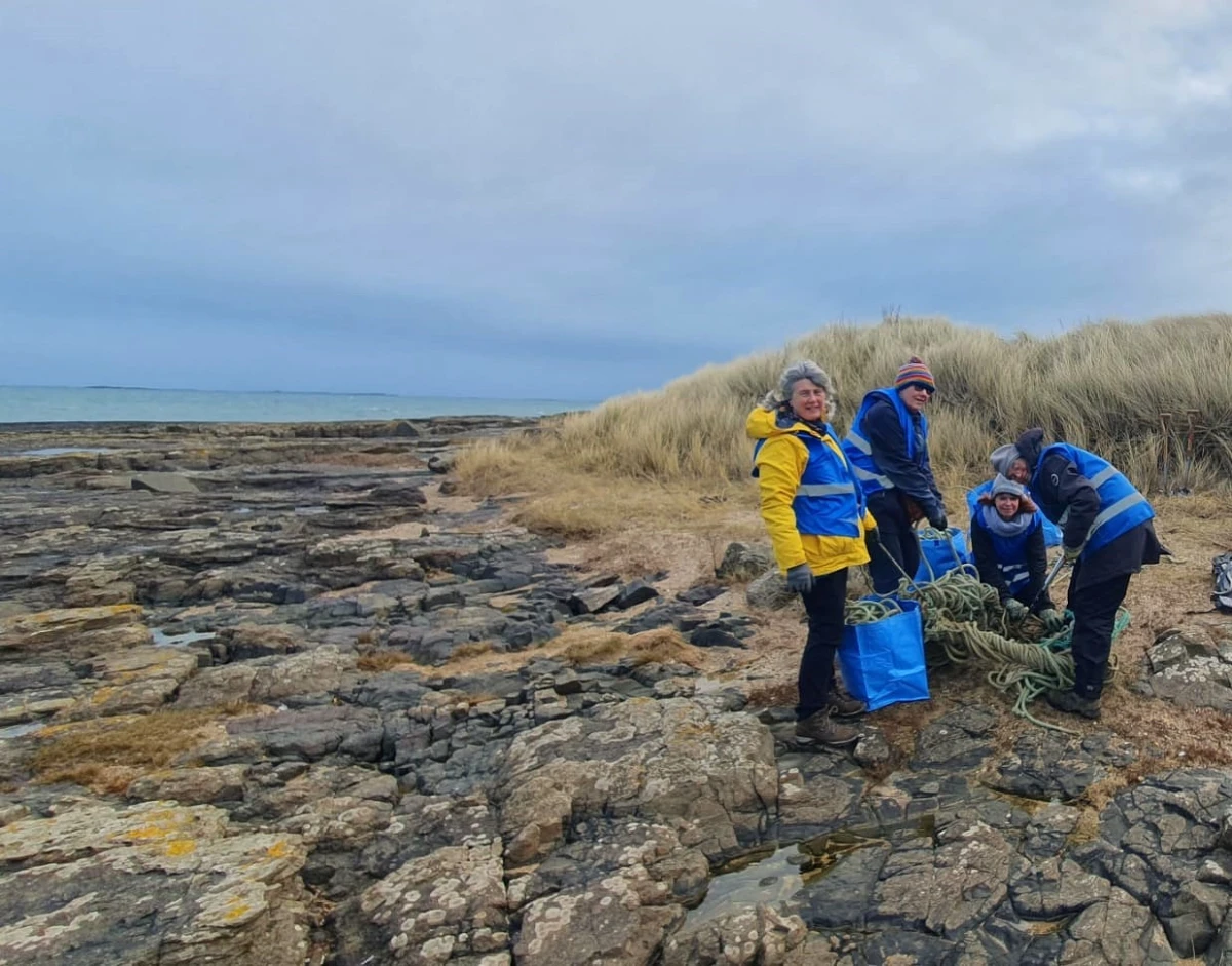 Volunteers cleaning the beach
