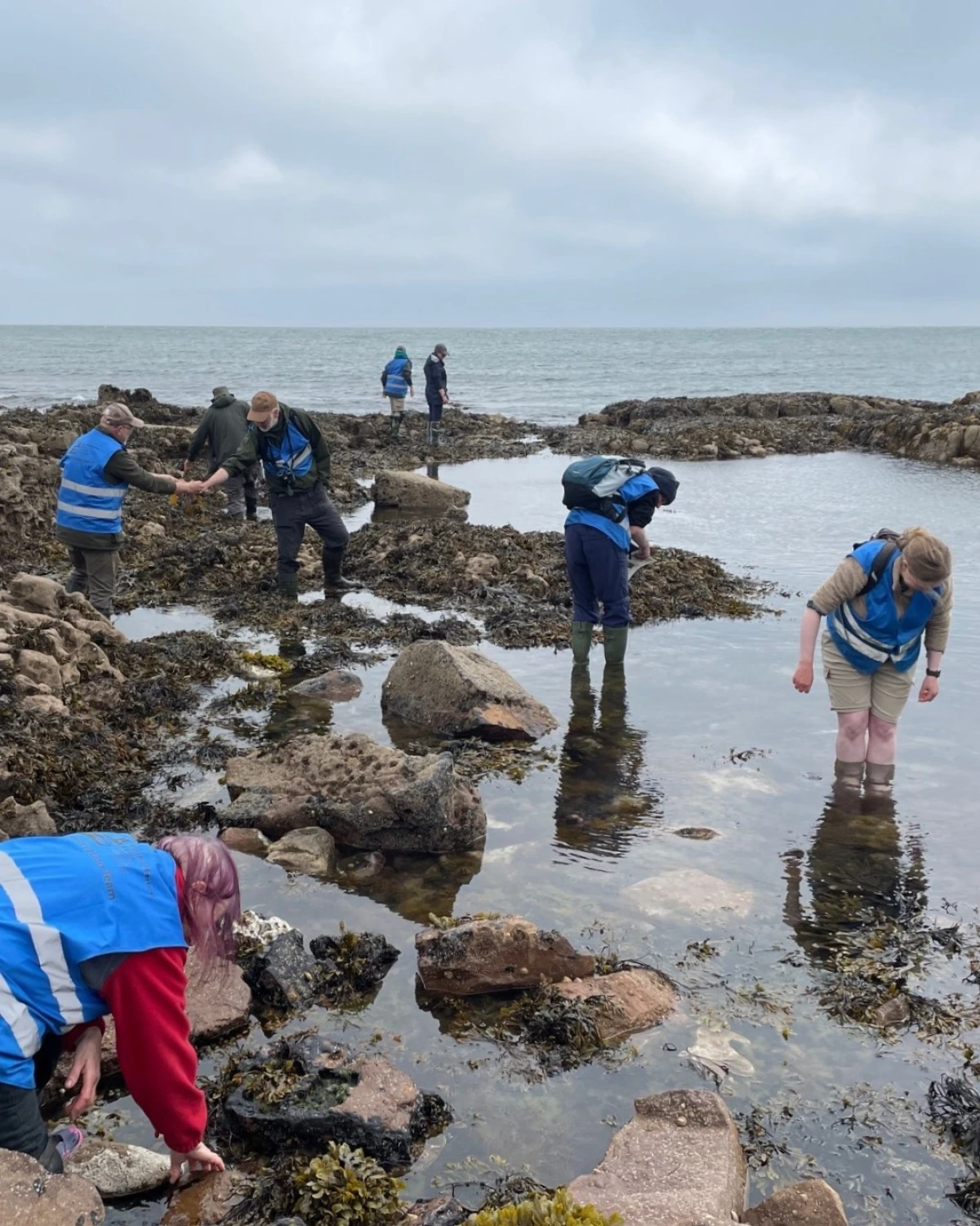 People standing in the water and looking in rock pools