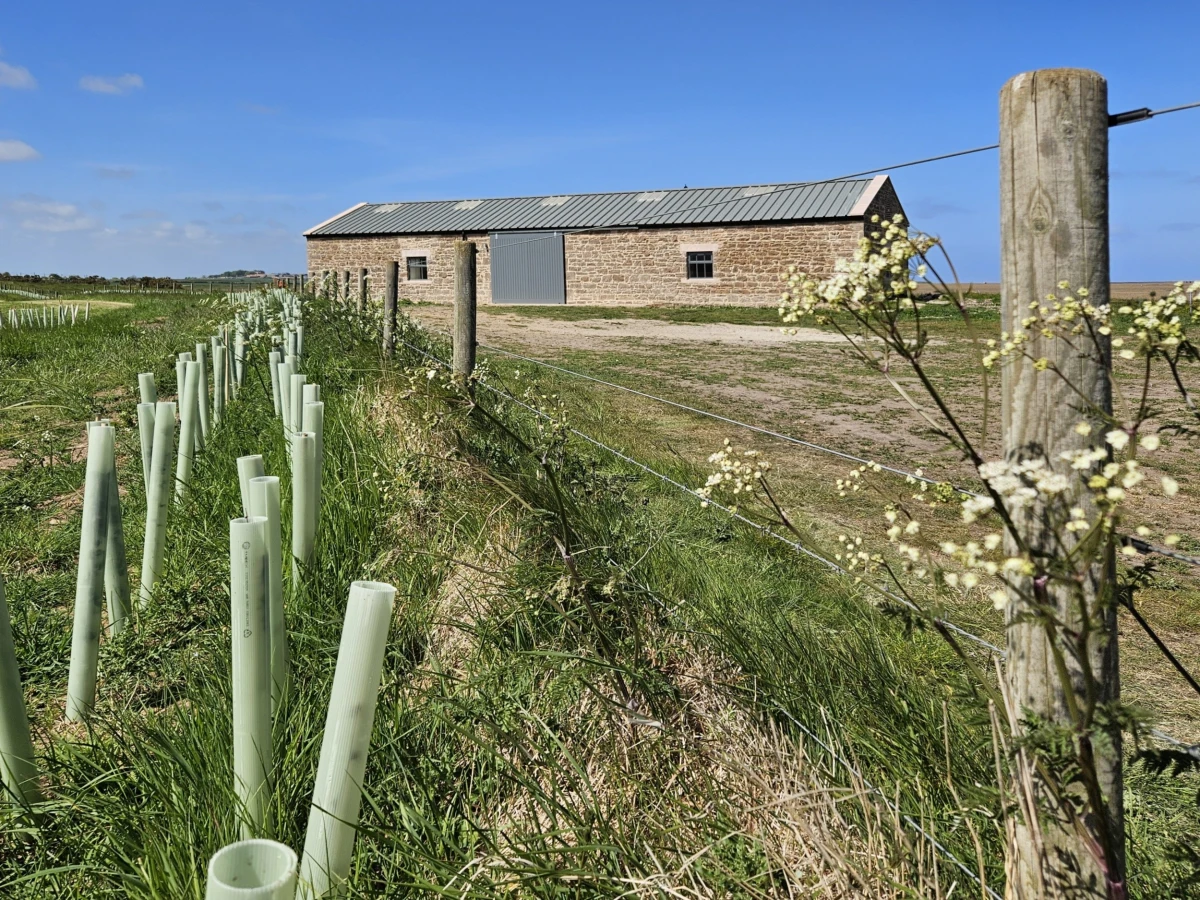 Fenham Hemmel building and a field