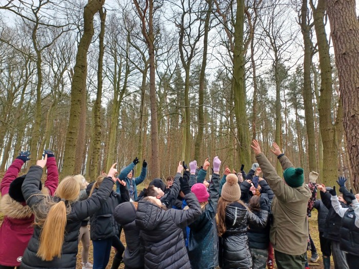 People raising arms in the air in woodland