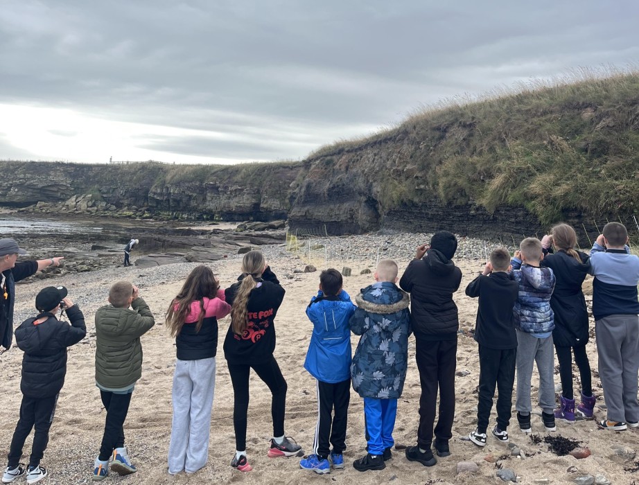 10 children on a beach look through binoculars at nesting shorebirds