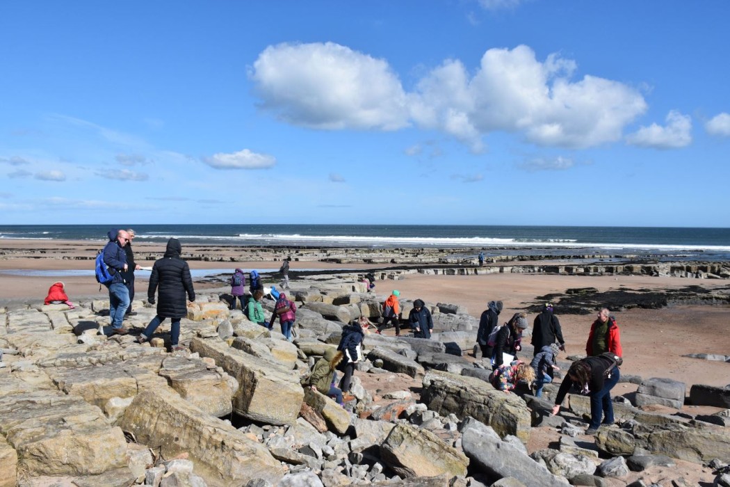 Geology, Holy Island