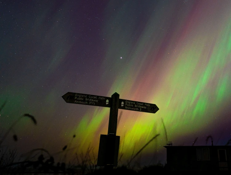 Aurora Borealis over Alnmouth Bay by Dru Dodd