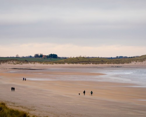 People walking along the beach