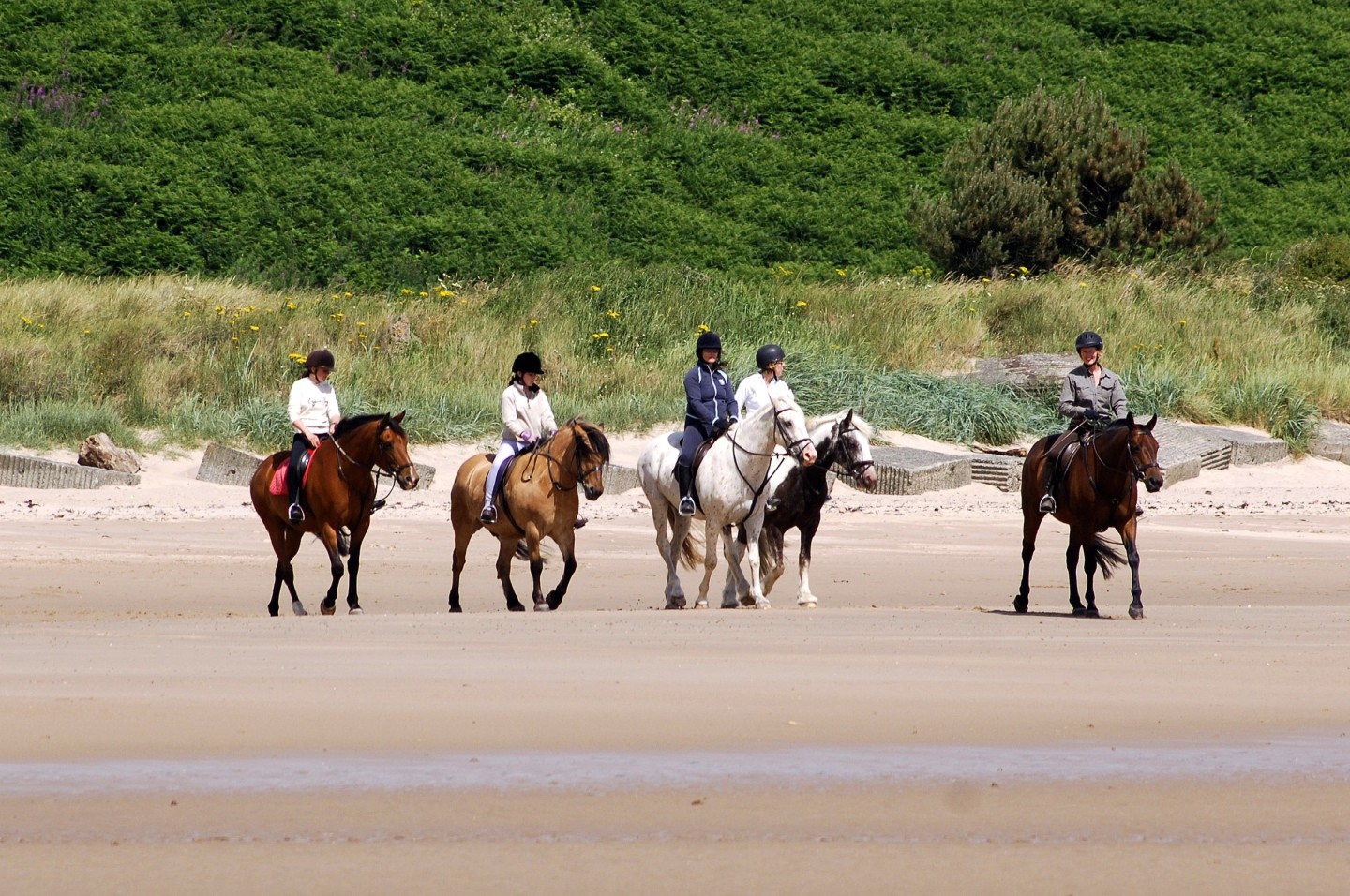 People horseriding on the beach