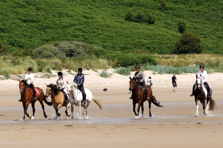 People riding horses on the beach